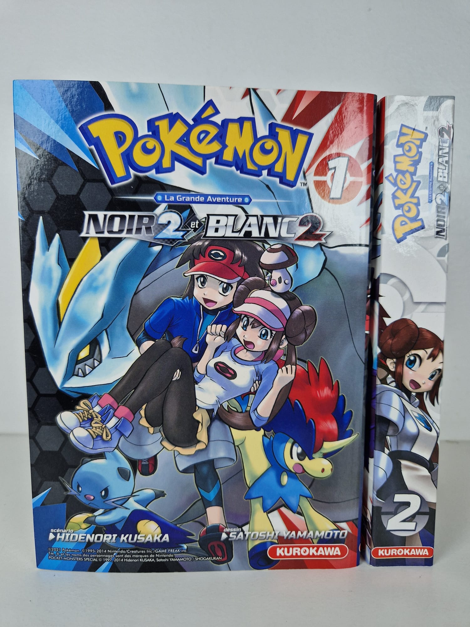 Pokémon - Noir 2 et Blanc 2 Intégrale  